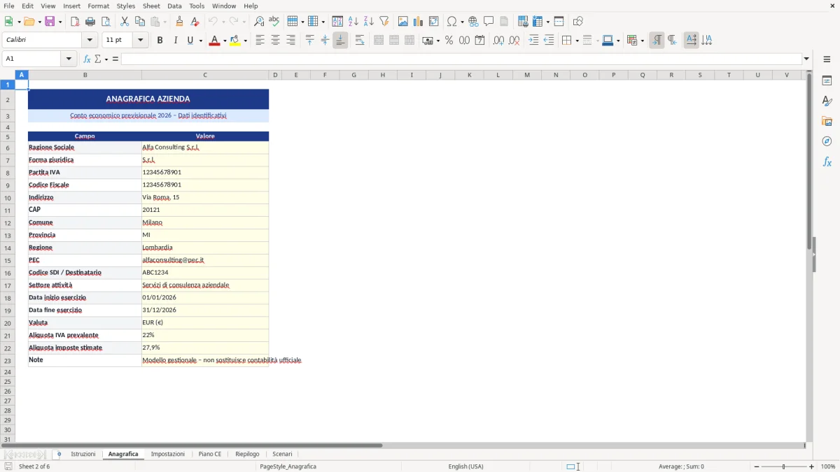 Figura 2: Foglio Anagrafica - Modello Excel Conto economico previsionale Excel - Modello Gratis (2026)